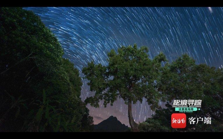 为什么说超市里的薯片不是用土豆做的？游戏画面